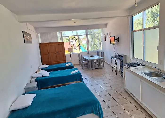 Xochimilco Hermoso Departamento Loft Junto A Trajineras